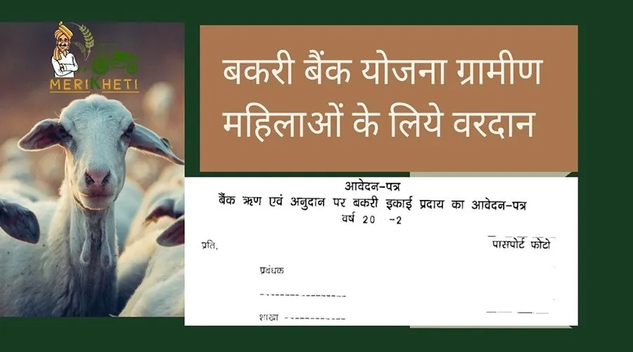 बकरी बैंक योजना ग्रामीण महिलाओं के लिये वरदान 