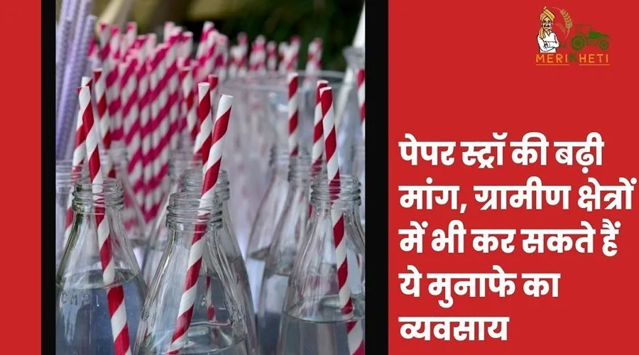 पेपर स्ट्रॉ की बढ़ी मांग, ग्रामीण क्षेत्रों में भी कर सकते हैं ये मुनाफे का व्यवसाय