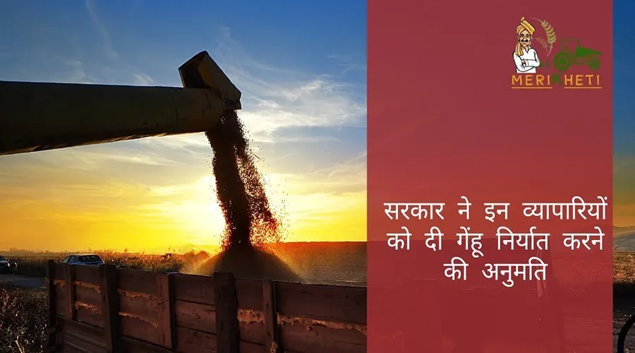 सरकार ने इन व्यापारियों को दी गेंहू निर्यात करने की अनुमति