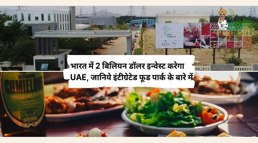 भारत में 2 बिलियन डॉलर इन्वेस्ट करेगा UAE, जानिये इंटीग्रेटेड फूड पार्क के बारे में