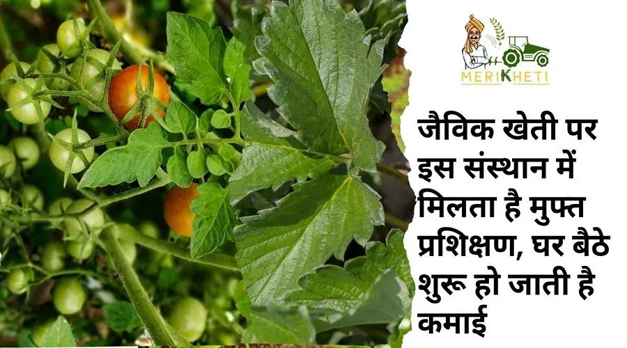 जैविक खेती पर इस संस्थान में मिलता है मुफ्त प्रशिक्षण, घर बैठे शुरू हो जाती है कमाई