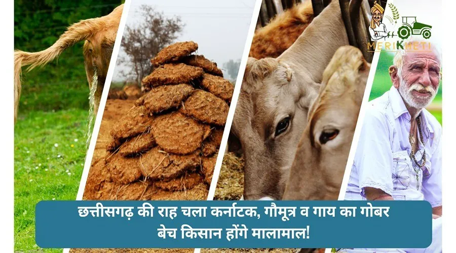 छत्तीसगढ़ की राह चला कर्नाटक, गौमूत्र व गाय का गोबर बेच किसान होंगे मालामाल!