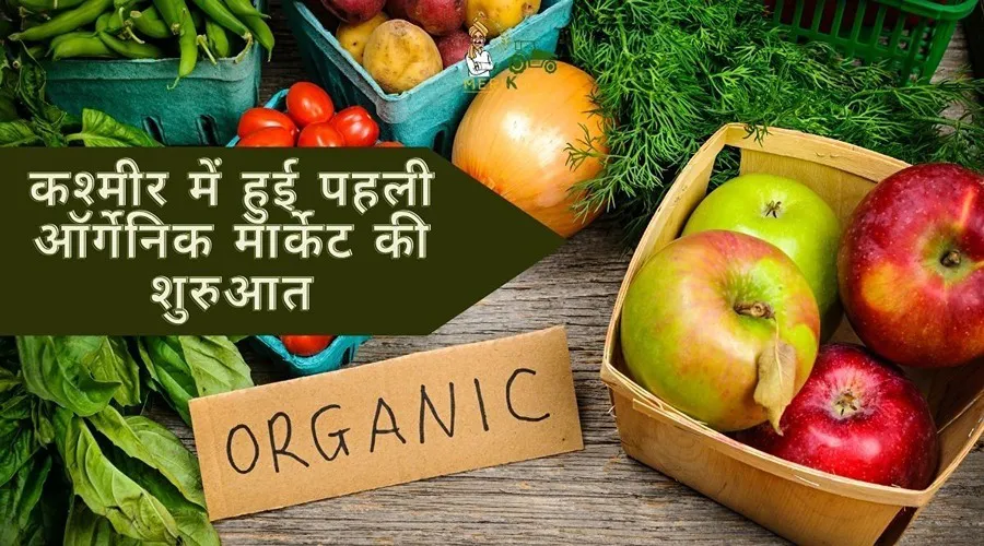 कश्मीर में हुई पहली ऑर्गेनिक मार्केट की शुरुआत, पौष्टिक सब्जियां खरीदने के लिए जुट रही है भारी भीड़