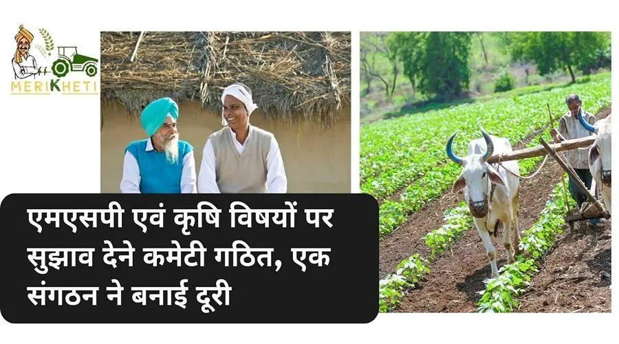 MSP on Crop: एमएसपी एवं कृषि विषयों पर सुझाव देने वृहद कमेटी गठित, एक संगठन ने बनाई दूरी