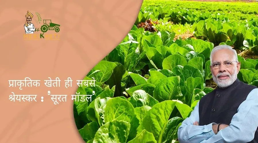 प्राकृतिक खेती ही सबसे श्रेयस्कर : 'सूरत मॉडल'