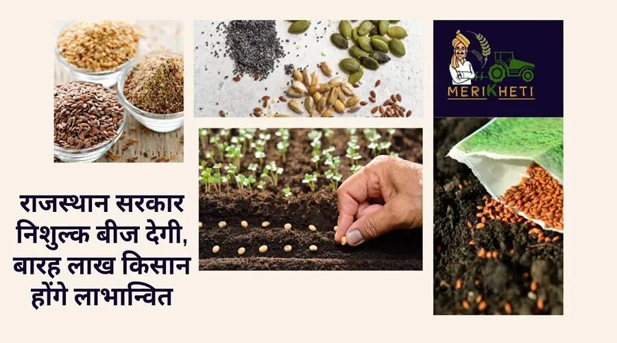 राजस्थान सरकार देगी निशुल्क बीज : बारह लाख किसान होंगे लाभान्वित