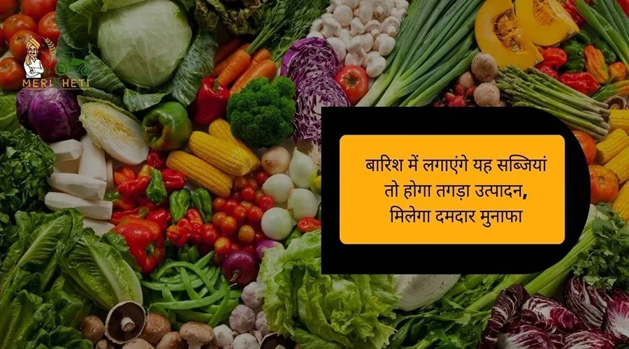 बारिश में लगाएंगे यह सब्जियां तो होगा तगड़ा उत्पादन, मिलेगा दमदार मुनाफा
