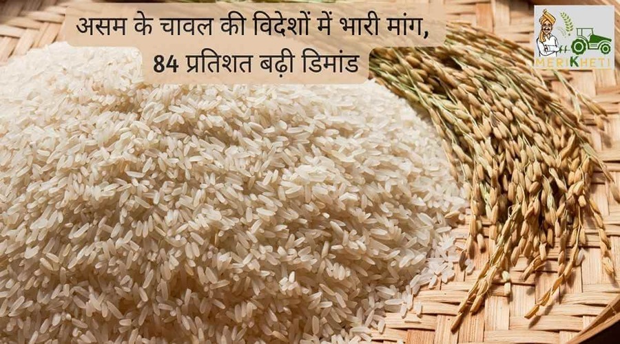 असम के चावल की विदेशों में भारी मांग, 84 प्रतिशत बढ़ी डिमांड