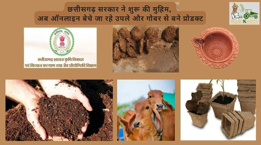छत्तीसगढ़ सरकार ने शुरू की मुहिम, अब ऑनलाइन बेचे जा रहे उपले और गोबर से बने प्रोडक्ट