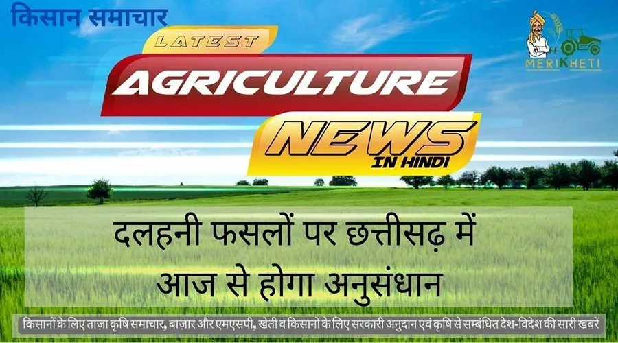 दलहनी फसलों पर छत्तीसढ़ में आज से होगा अनुसंधान