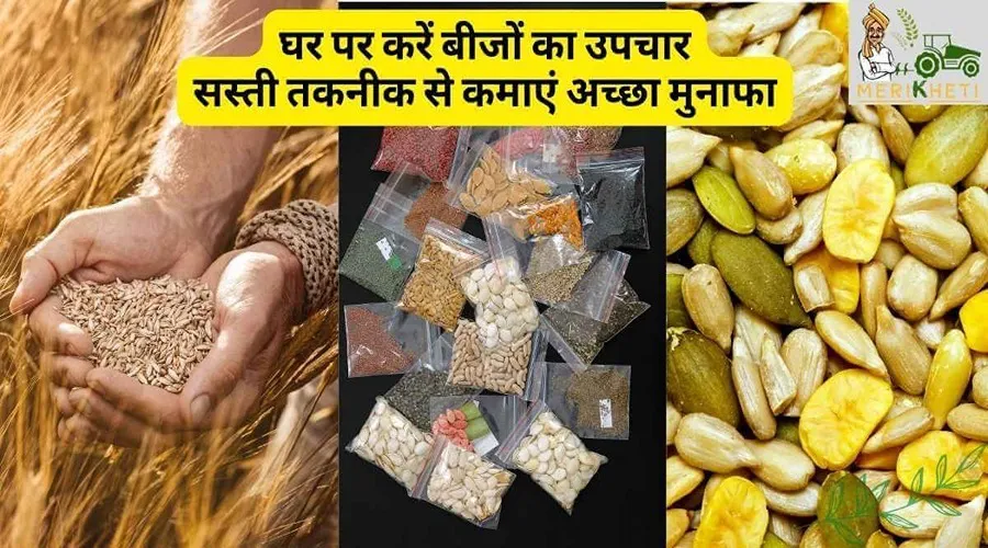 घर पर करें बीजों का उपचार, सस्ती तकनीक से कमाएं अच्छा मुनाफा