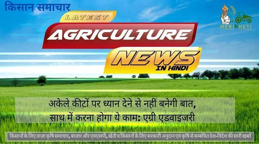 अकेले कीटों पर ध्यान देने से नहीं बनेगी बात, साथ में करना होगा ये काम: एग्री एडवाइजरी