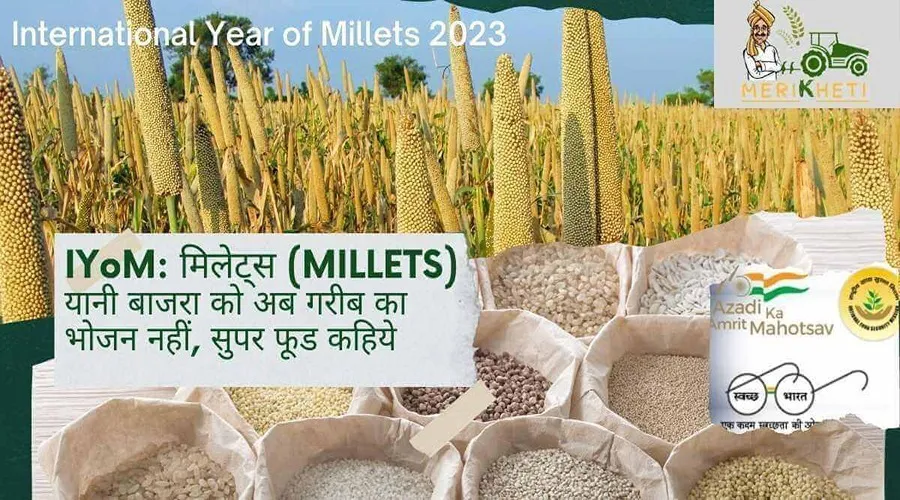 IYoM: मिलेट्स (MILLETS) यानी बाजरा को अब गरीब का भोजन नहीं, सुपर फूड कहिये