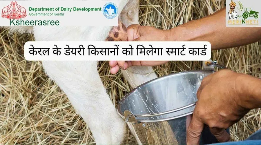 केरल के डेयरी किसानों को मिलेगा स्मार्ट कार्ड