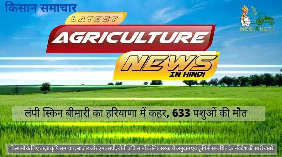 लंपी स्किन बीमारी का हरियाणा में कहर, 633 पशुओं की मौत