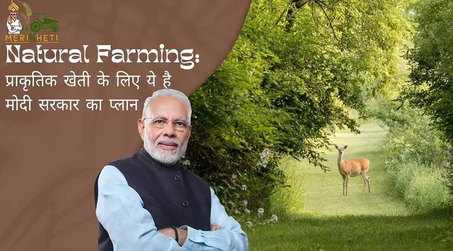 Natural Farming: प्राकृतिक खेती के लिए ये है मोदी सरकार का प्लान