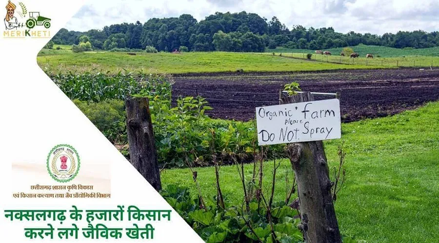नक्सलगढ़ के हजारों किसान करने लगे जैविक खेती