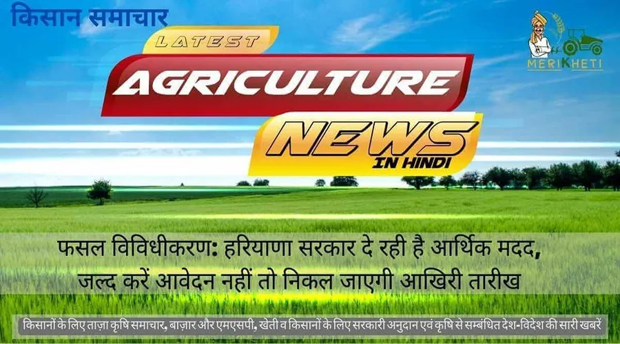 फसल विविधीकरण: सरकार दे रही है आर्थिक मदद, जल्द करें आवेदन नहीं तो निकल जाएगी आखिरी तारीख