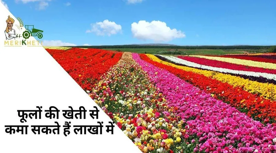 फूलों की खेती से कमा सकते हैं लाखों में