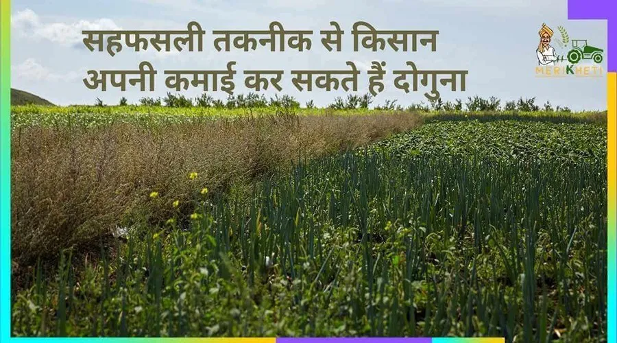 सहफसली तकनीक से किसान अपनी कमाई कर सकते हैं दोगुना