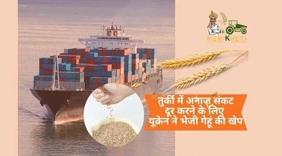 तुर्की में अनाज संकट दूर करने के लिए यूक्रेन ने भेजी गेहूं की खेप