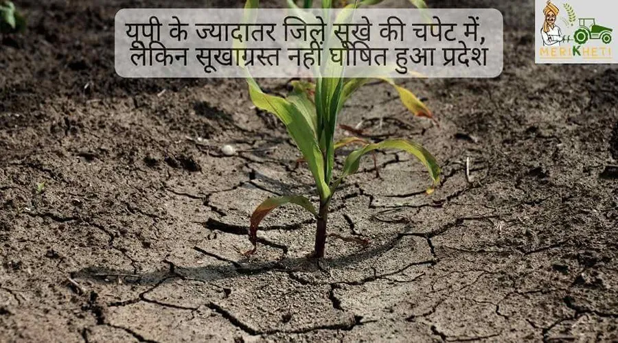 यूपी के ज्यादातर जिले सूखे की चपेट में लेकिन सूखाग्रस्त नहीं घोषित हुआ प्रदेश