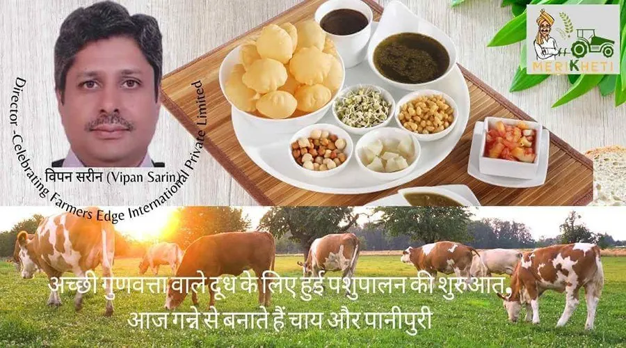 अच्छी गुणवत्ता वाले दूध के लिए हुई पशुपालन की शुरुआत, आज गन्ने से बनाते हैं चाय और पानीपुरी