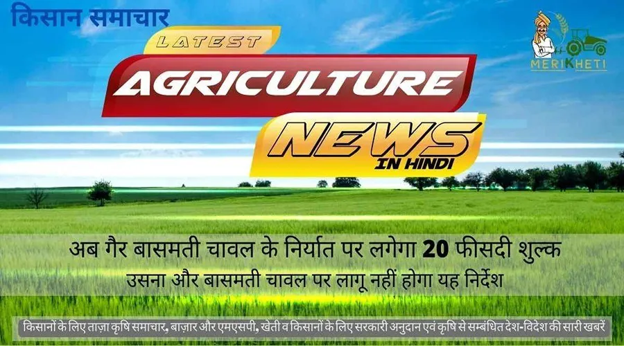 अब गैर बासमती चावल के निर्यात पर लगेगा 20 फीसदी शुल्क