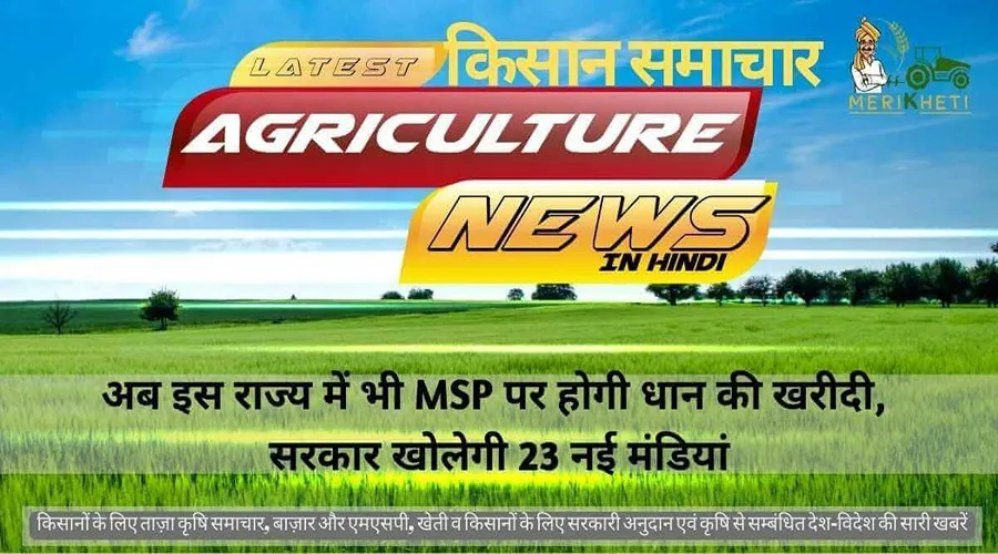 अब इस राज्य में भी MSP पर होगी धान की खरीदी, सरकार खोलेगी 23 नई मंडियां