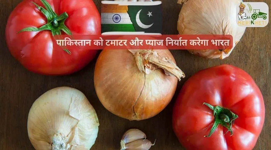 पाकिस्तान को टमाटर और प्याज निर्यात करेगा भारत