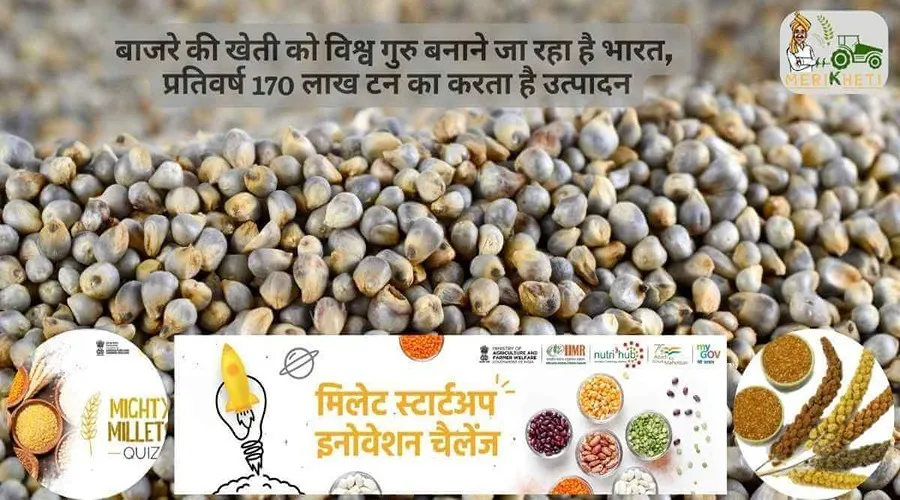 बाजरे की खेती को विश्व गुरु बनाने जा रहा है भारत, प्रतिवर्ष 170 लाख टन का करता है उत्पादन