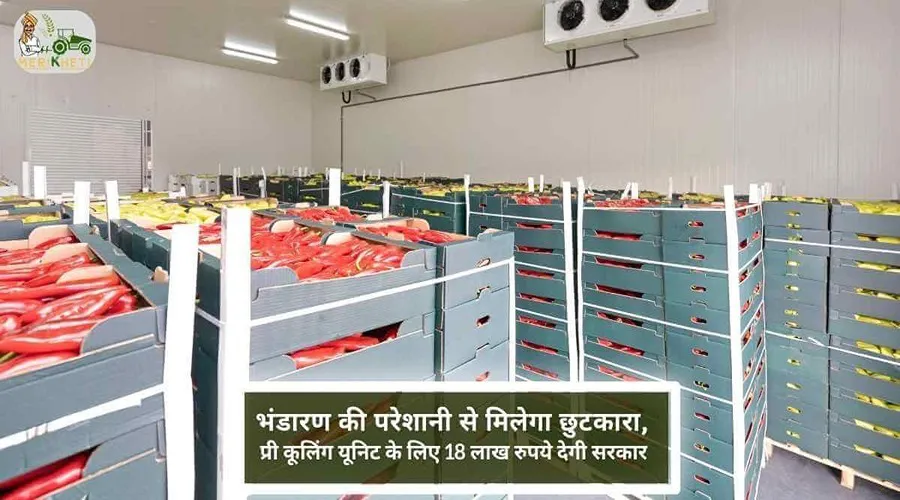 भंडारण की परेशानी से मिलेगा छुटकारा, प्री कूलिंग यूनिट के लिए 18 लाख रुपये देगी सरकार
