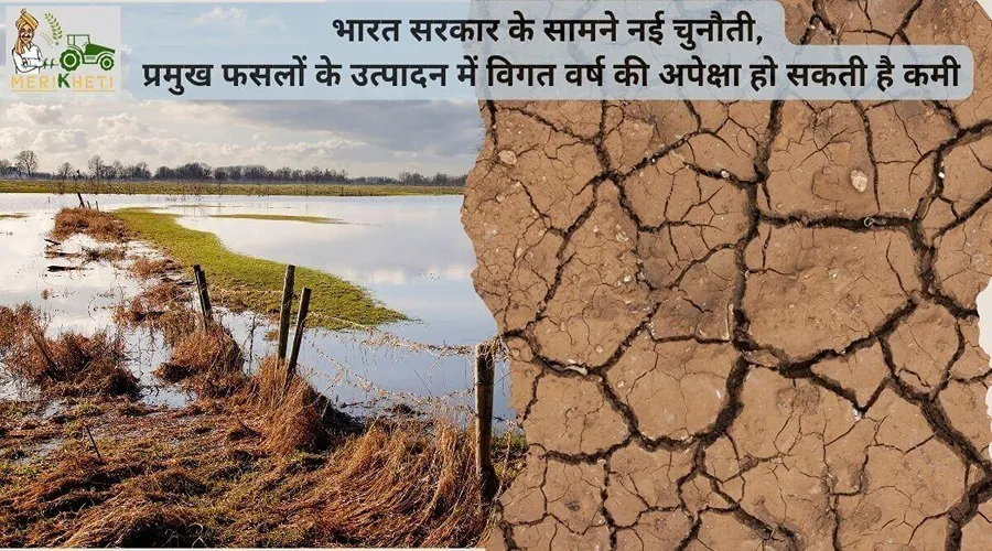 भारत सरकार के सामने नई चुनौती, प्रमुख फसलों के उत्पादन में विगत वर्ष की अपेक्षा हो सकती है कमी