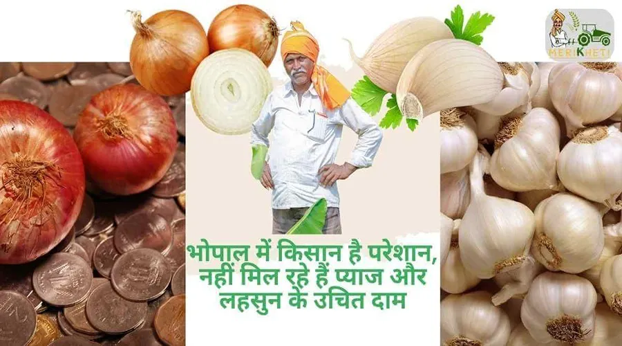 भोपाल में किसान है परेशान, नहीं मिल रहे हैं प्याज और लहसुन के उचित दाम