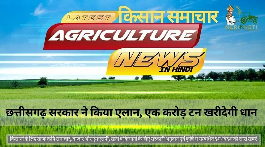 छत्तीसगढ़ सरकार ने किया एलान, एक करोड़ टन खरीदेगी धान