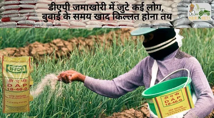 डीएपी जमाखोरी में जुटे कई लोग, बुवाई के समय खाद की किल्लत होना तय