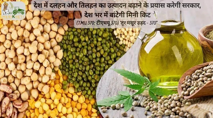 देश में दलहन और तिलहन का उत्पादन बढ़ाने के प्रयास करेगी सरकार, देश भर में बांटेगी मिनी किट