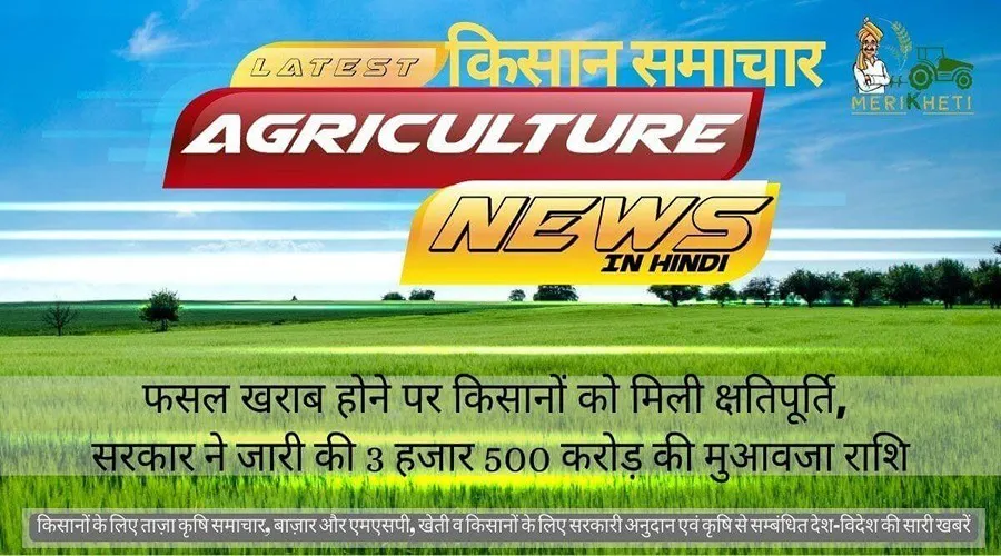फसल खराब होने पर किसानों को मिली क्षतिपूर्ति, सरकार ने जारी की 3 हजार 500 करोड़ की मुआवजा राशि