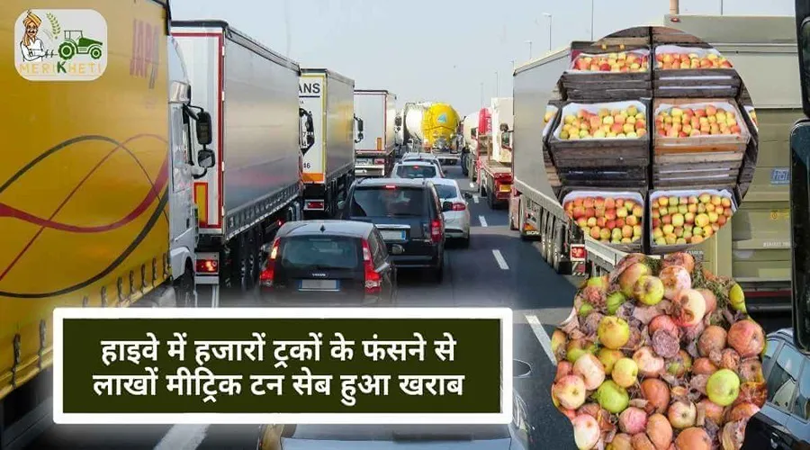 हाइवे में हजारों ट्रकों के फंसने से लाखों मीट्रिक टन सेब हुआ खराब