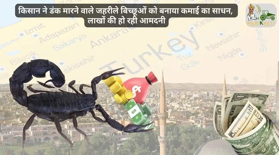 किसान ने डंक मारने वाले जहरीले बिच्छूओं को बनाया कमाई का साधन, लाखों की हो रही आमदनी
