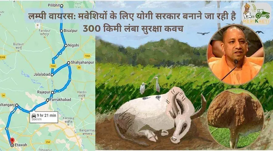 लम्पी वायरस: मवेशियों के लिए योगी सरकार बनाने जा रही है 300 किमी लंबा सुरक्षा कवच
