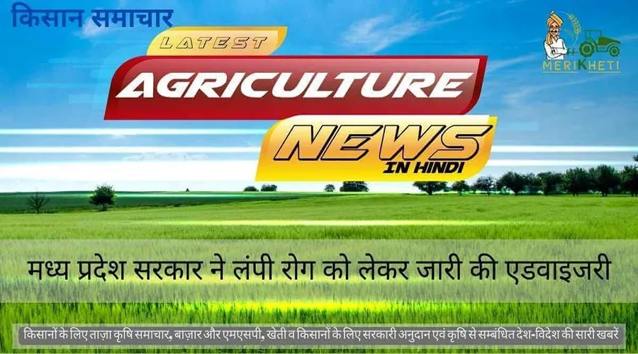 मध्य प्रदेश सरकार ने लंपी रोग को लेकर जारी की एडवाइजरी