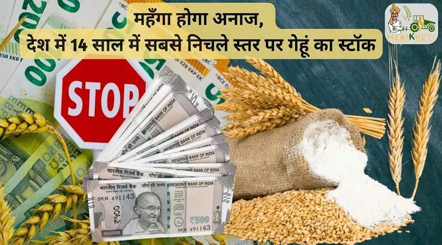 महँगा होगा अनाज, देश में 14 साल में सबसे निचले स्तर पर गेहूं का स्टॉक