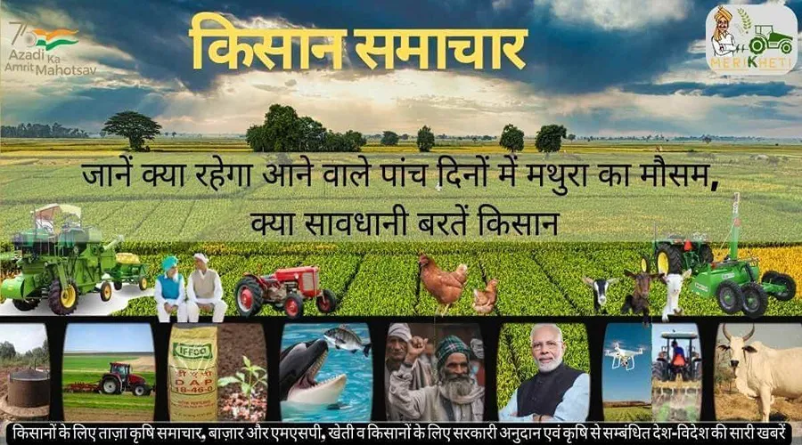 जानें क्या रहेगा आने वाले पांच दिनों में मथुरा का मौसम, क्या सावधानी बरतें किसान