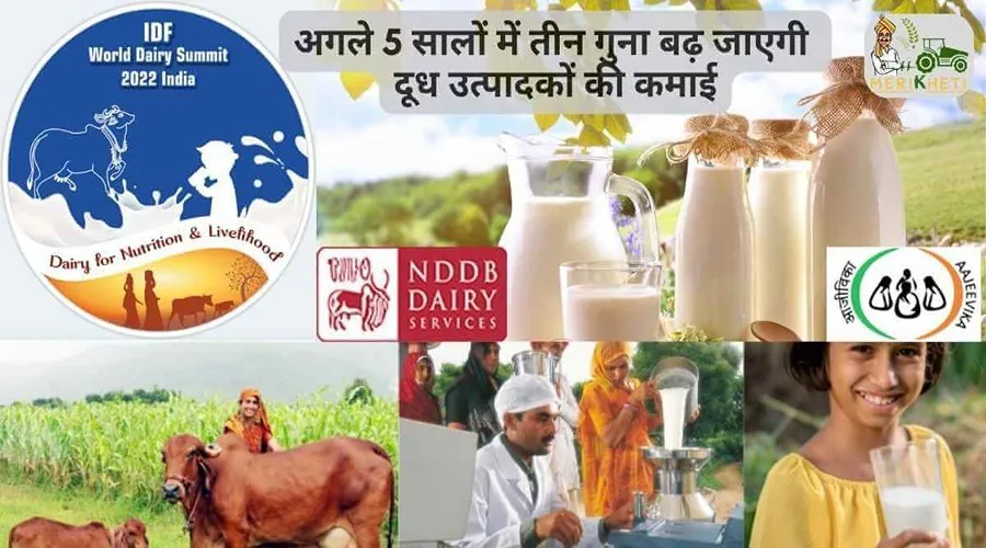 अगले 5 सालों में तीन गुना बढ़ जाएगी दूध उत्पादकों की कमाई