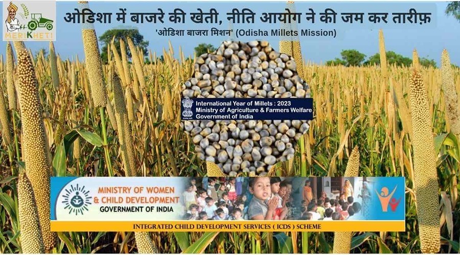ओडिशा में बाजरे की खेती, नीति आयोग ने की जम कर तारीफ़