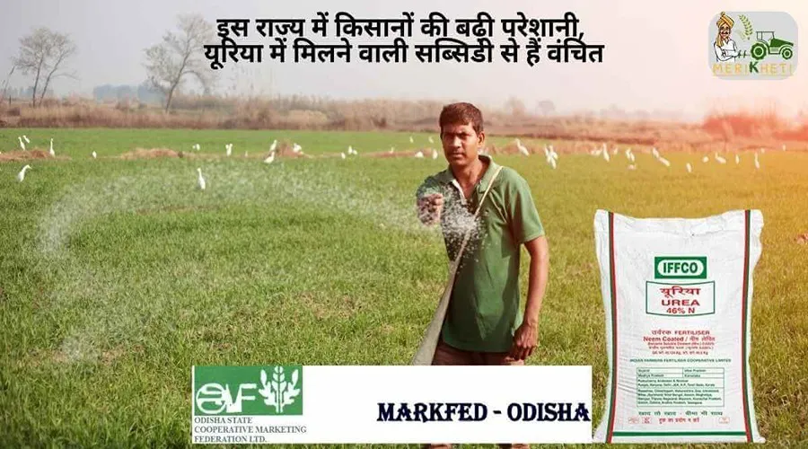 इस राज्य में किसानों की बढ़ी परेशानी, यूरिया में मिलने वाली सब्सिडी से हैं वंचित