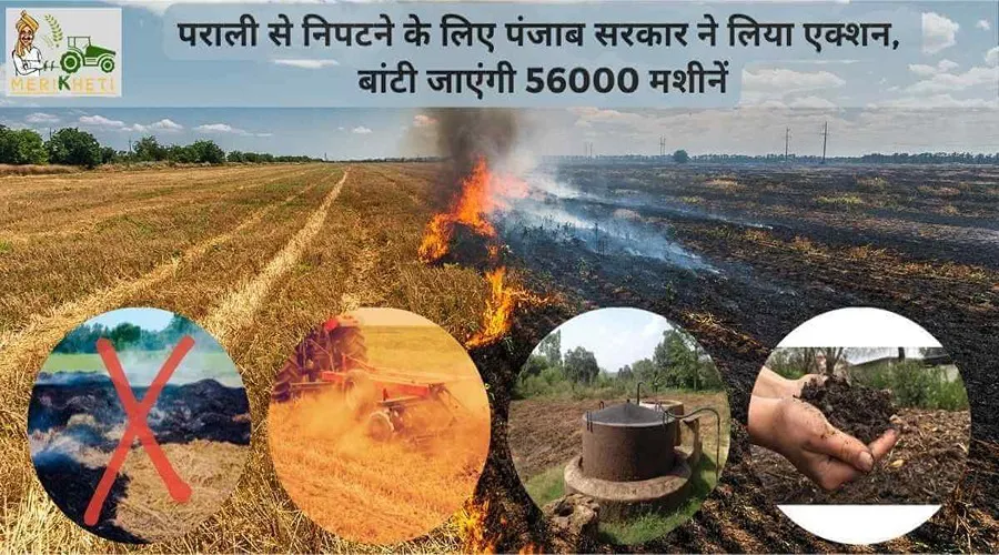 पराली से निपटने के लिए सरकार ने लिया एक्शन, बांटी जाएंगी 56000 मशीनें