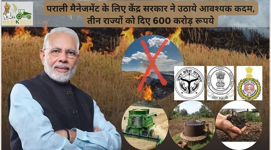 पराली मैनेजमेंट के लिए केंद्र सरकार ने उठाये आवश्यक कदम, तीन राज्यों को दिए 600 करोड़ रूपये