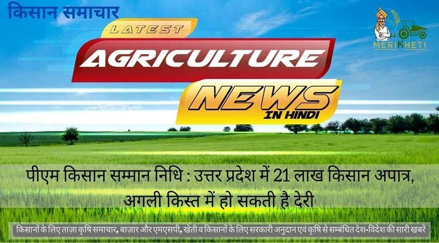 पीएम किसान सम्मान निधि : उत्तर प्रदेश में 21 लाख किसान अपात्र, अगली किस्त में हो सकती है देरी